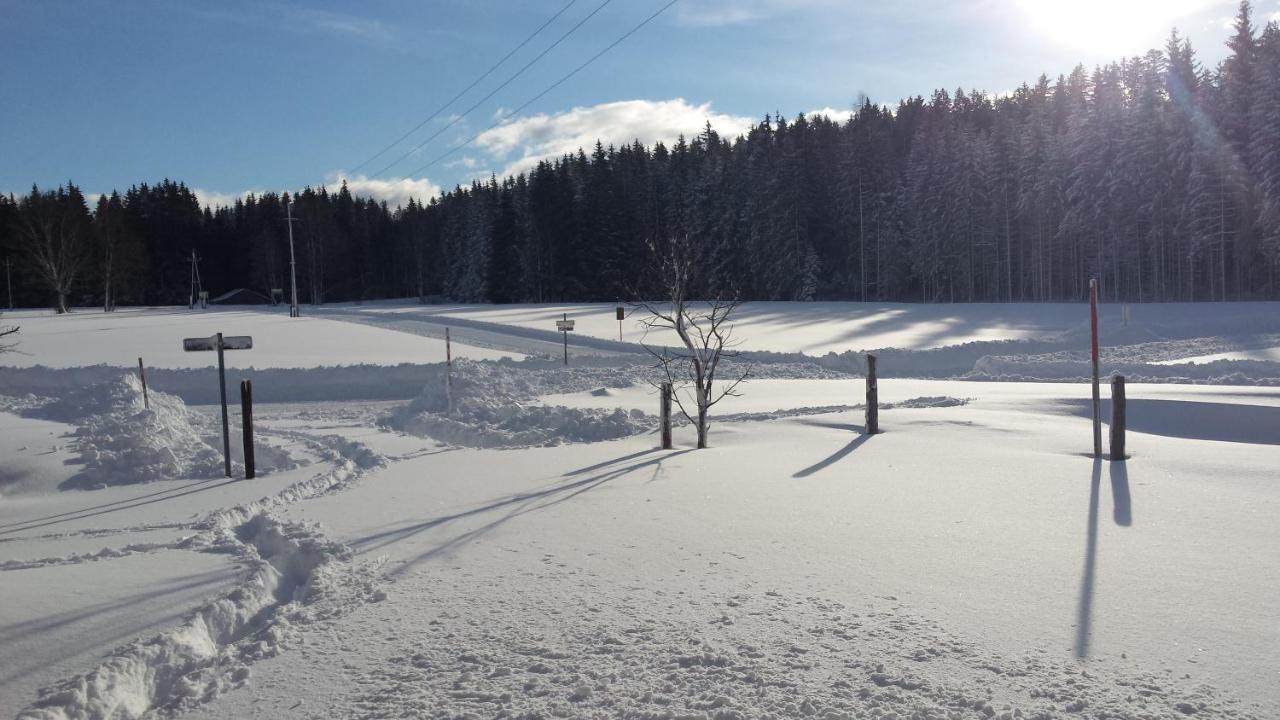 Apartament Haus Ferienglueck Ramsau am Dachstein Zewnętrze zdjęcie