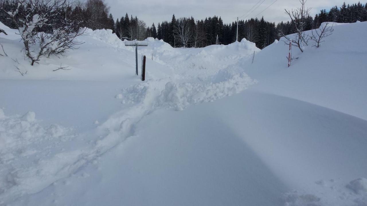Apartament Haus Ferienglueck Ramsau am Dachstein Zewnętrze zdjęcie