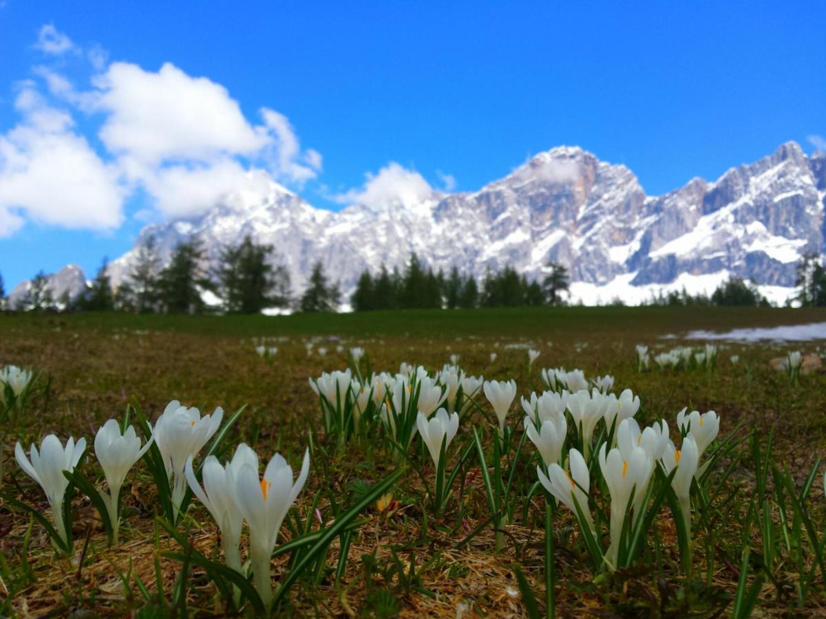 Apartament Haus Ferienglueck Ramsau am Dachstein Zewnętrze zdjęcie